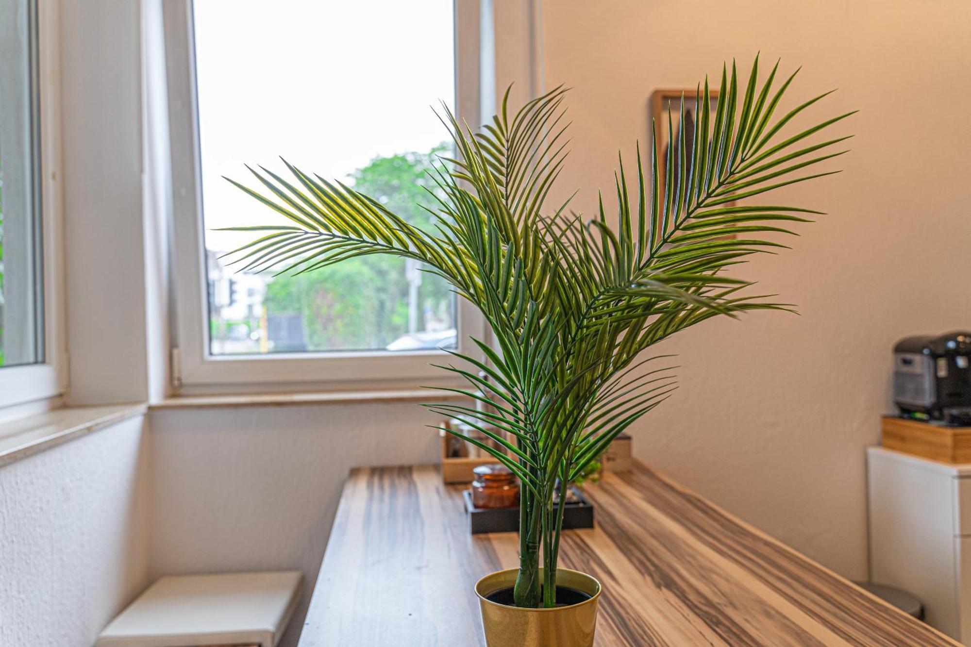 Apartment เวสเซลลิง ภายนอก รูปภาพ